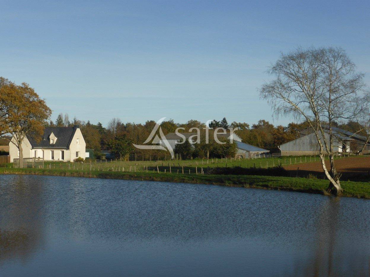 Ferme d'&eacute;levage, ferme des possibles