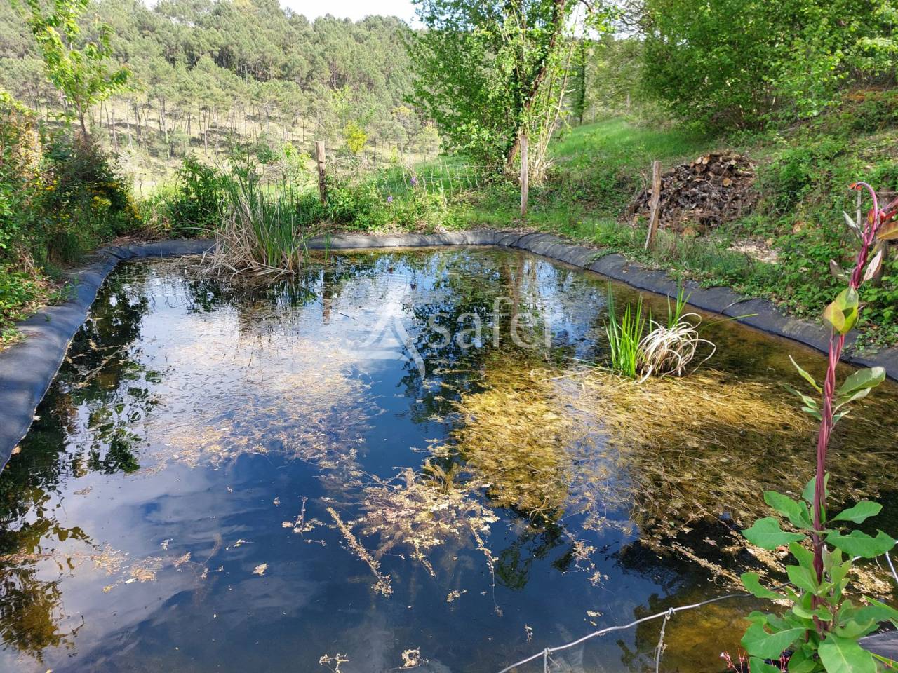 Très belle propriété en pierre avec maison, gîte et chambres