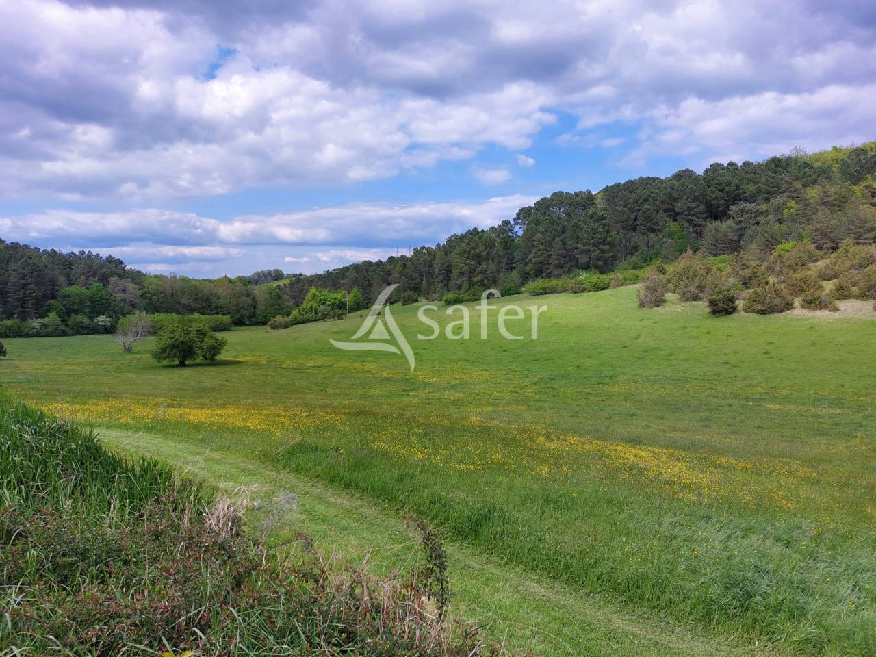 Très belle propriété en pierre avec maison, gîte et chambres