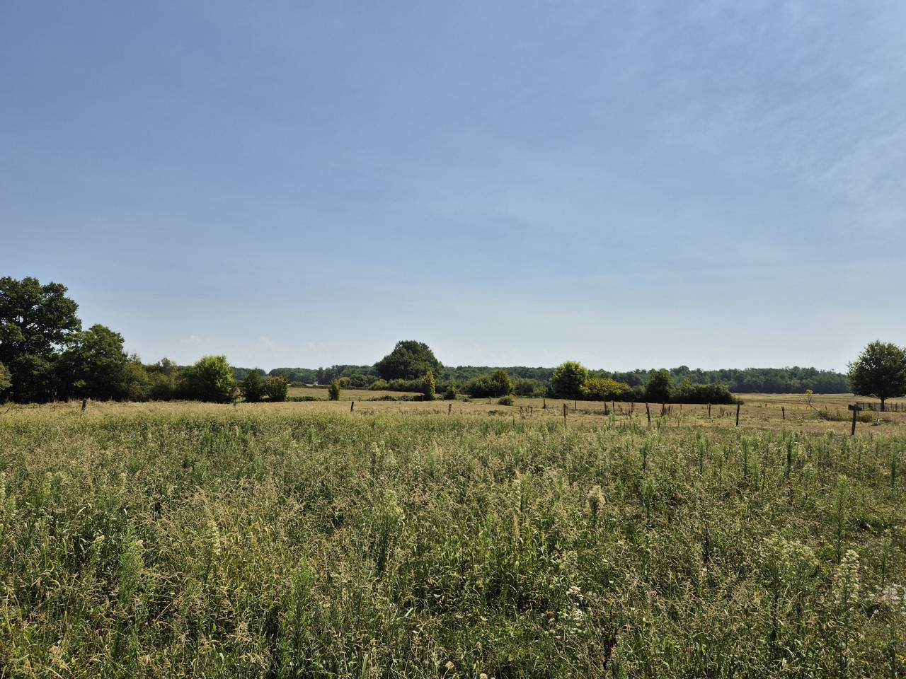 Superbe ferme équestre Bressanne en Saone-et-loire 