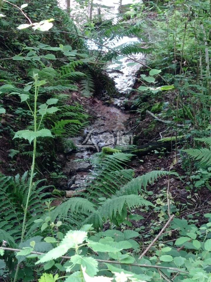 Domaine agricole et forestier - Id&eacute;al &eacute;quitation d'ext&eacute;rieur