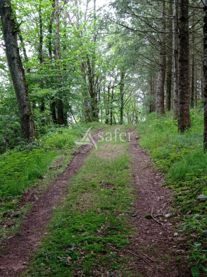 Domaine agricole et forestier - Id&eacute;al &eacute;quitation d'ext&eacute;rieur