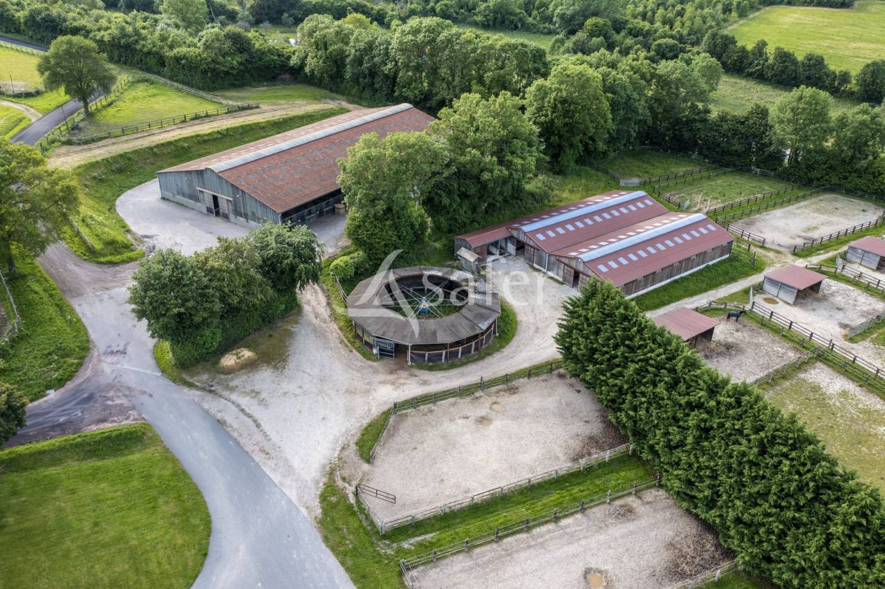 Haras d'élevage - Centre d'entrainement