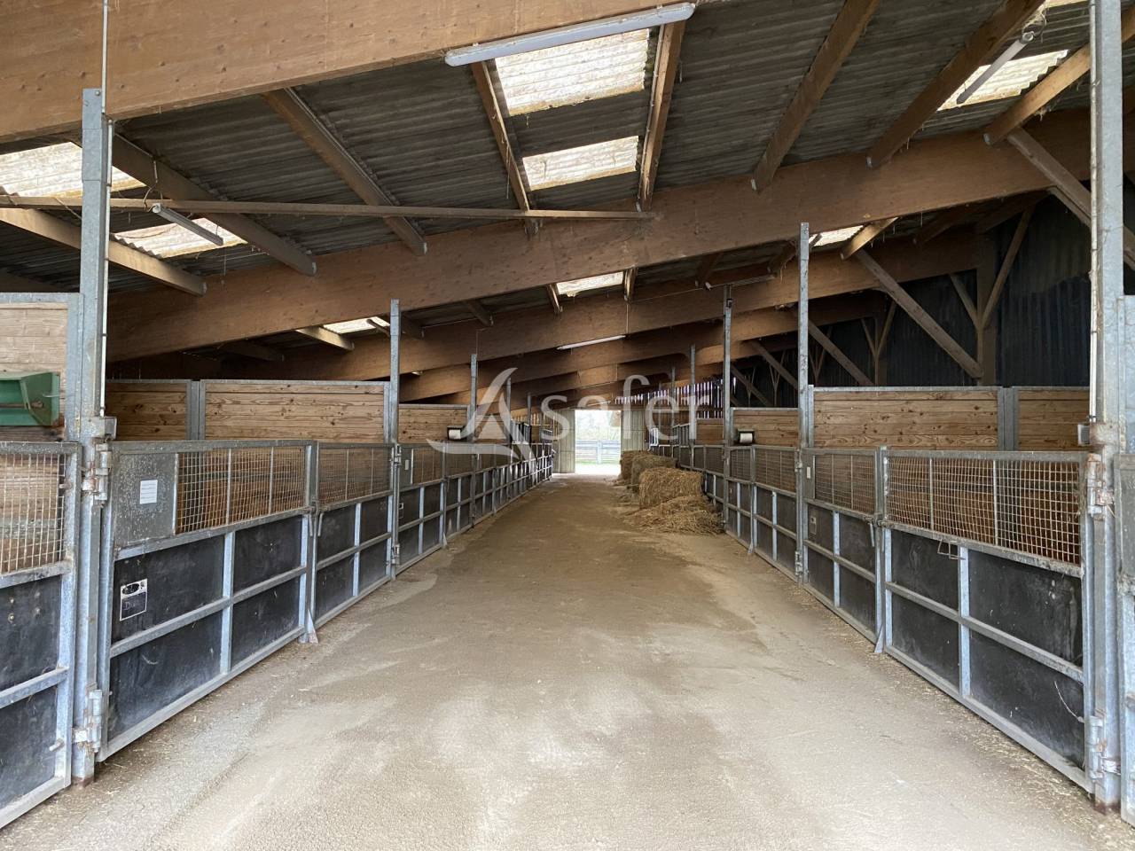 Haras d'&eacute;levage - Centre d'entrainement