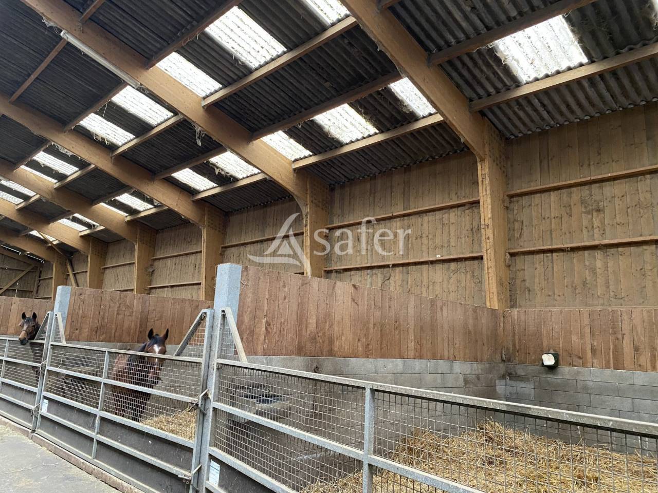 Haras d'&eacute;levage - Centre d'entrainement