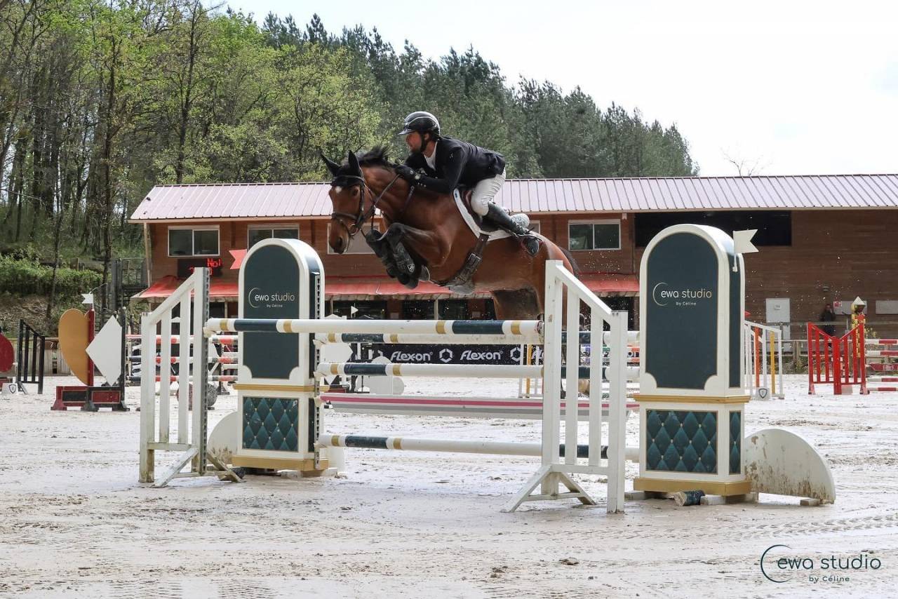 FANTASTIQUE JUMENT DE SPORT 7ANS - CSO ULTRA RESPECT