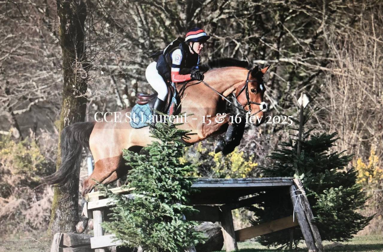 FANTASTIQUE JUMENT DE SPORT 7ANS - CSO ULTRA RESPECT