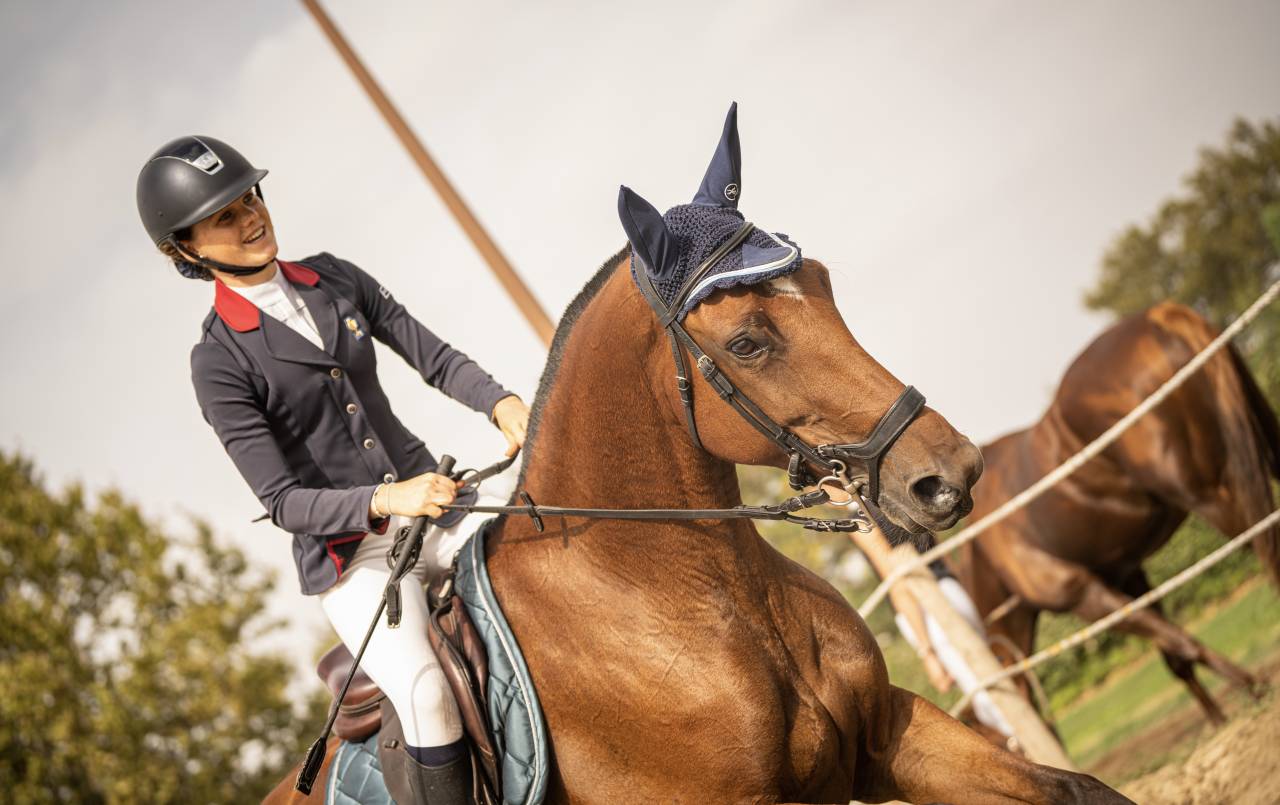 FANTASTIQUE JUMENT DE SPORT 7ANS - CSO ULTRA RESPECT