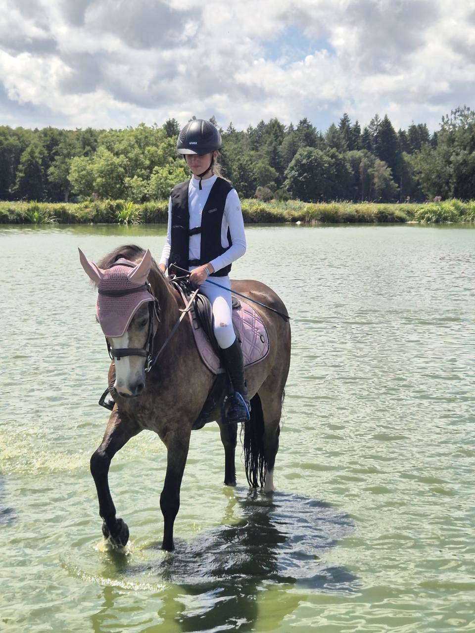 Connemara PP 7 ans hongre