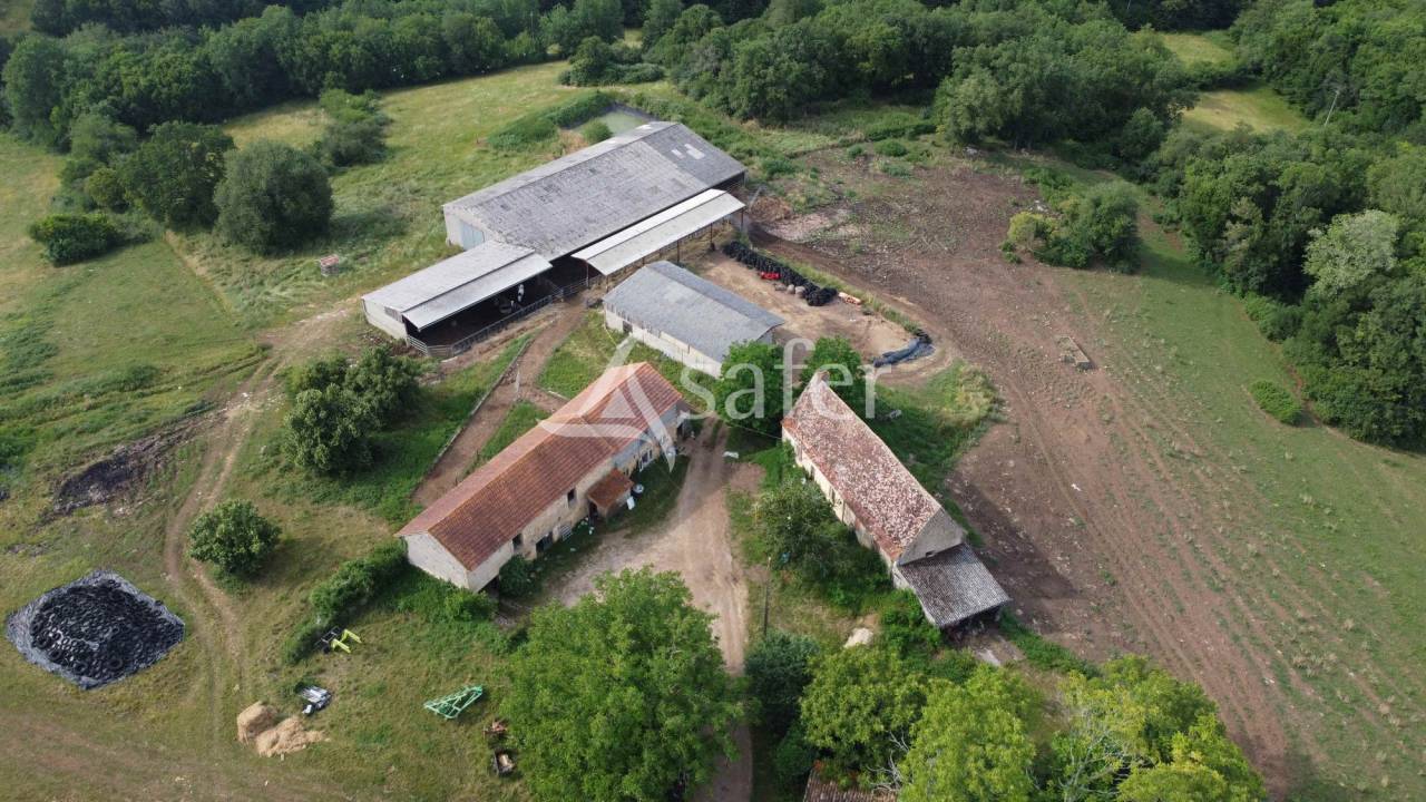 Exploitation bio en bovins lait sur 54ha, proche Lalinde