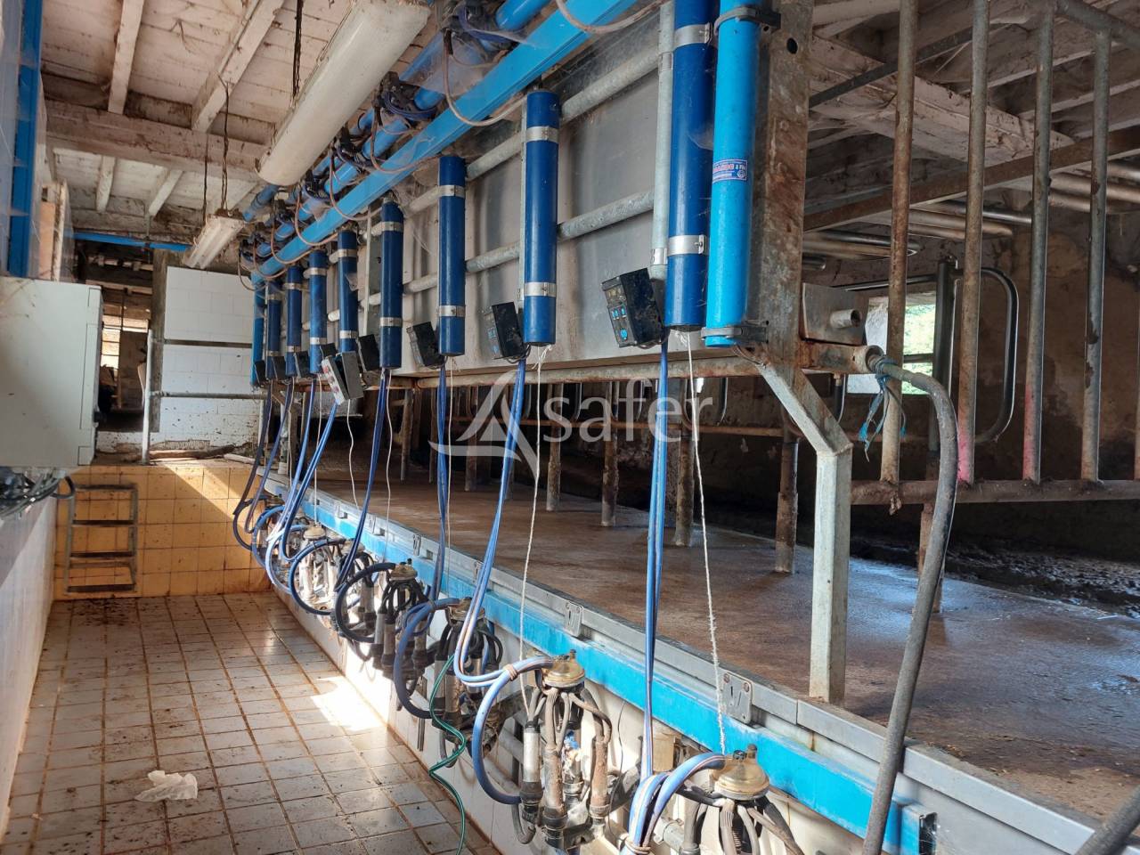 Exploitation bio en bovins lait sur 54ha, proche Lalinde