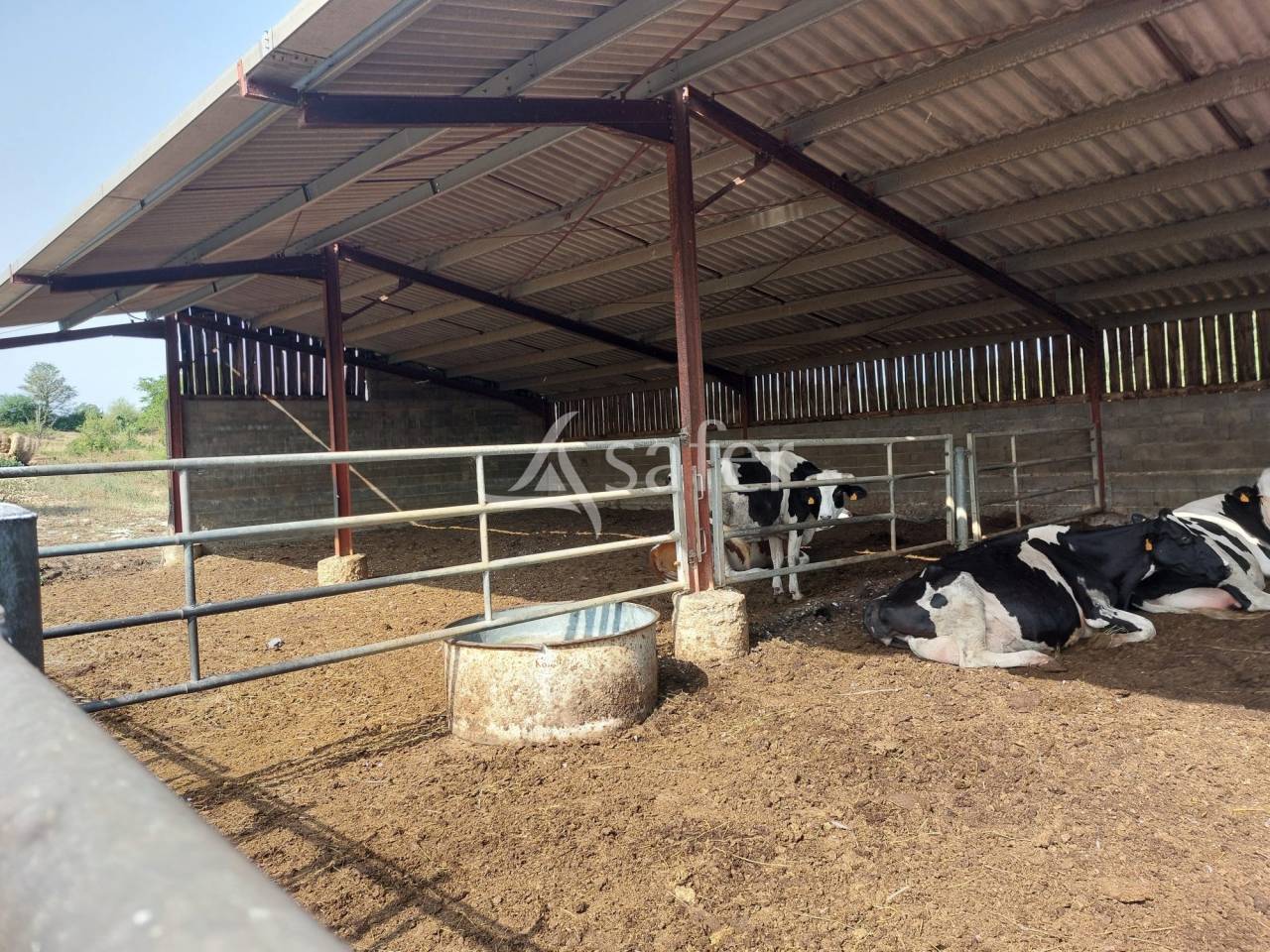 Exploitation bio en bovins lait sur 54ha, proche Lalinde