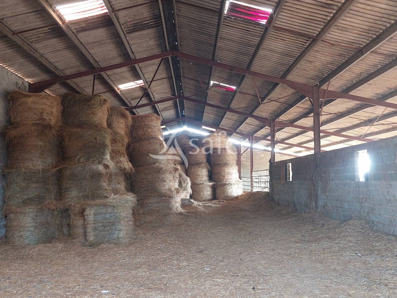 Exploitation bio en bovins lait sur 54ha, proche Lalinde