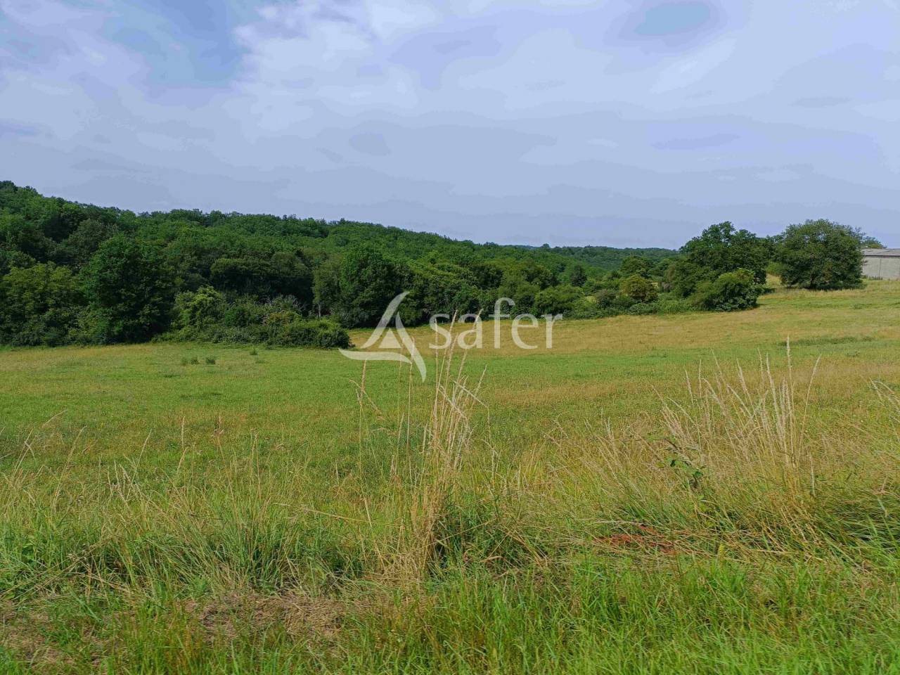 Exploitation bio en bovins lait sur 54ha, proche Lalinde