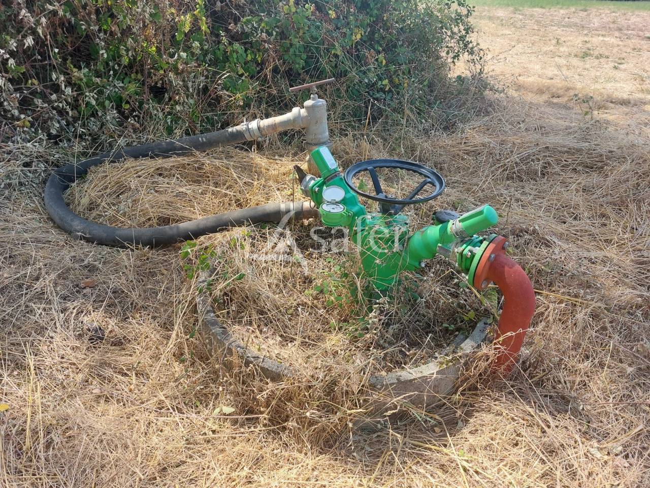 Exploitation bio en bovins lait sur 54ha, proche Lalinde