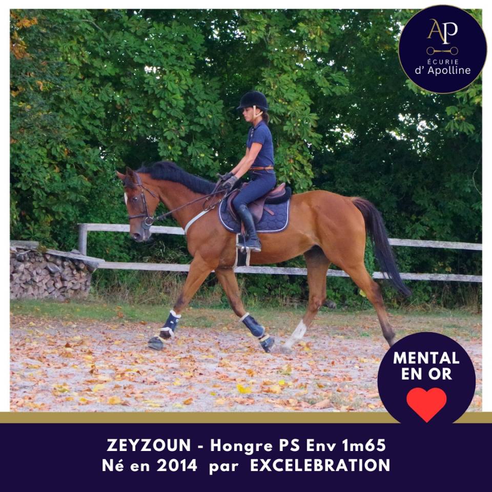 Merveilleux cheval, top mental