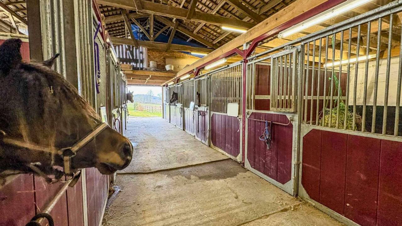 Propriété équestre d’exception de 23 hectares (47)