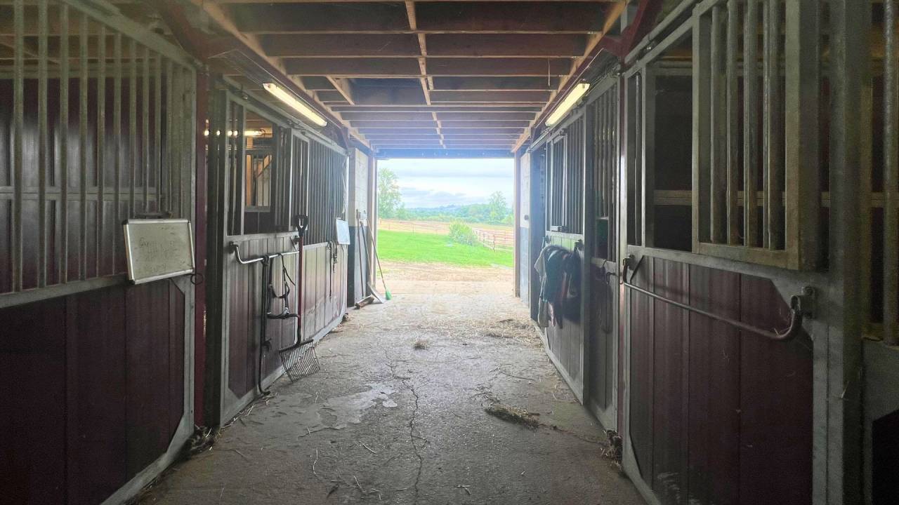 Propriété équestre d’exception de 23 hectares (47)