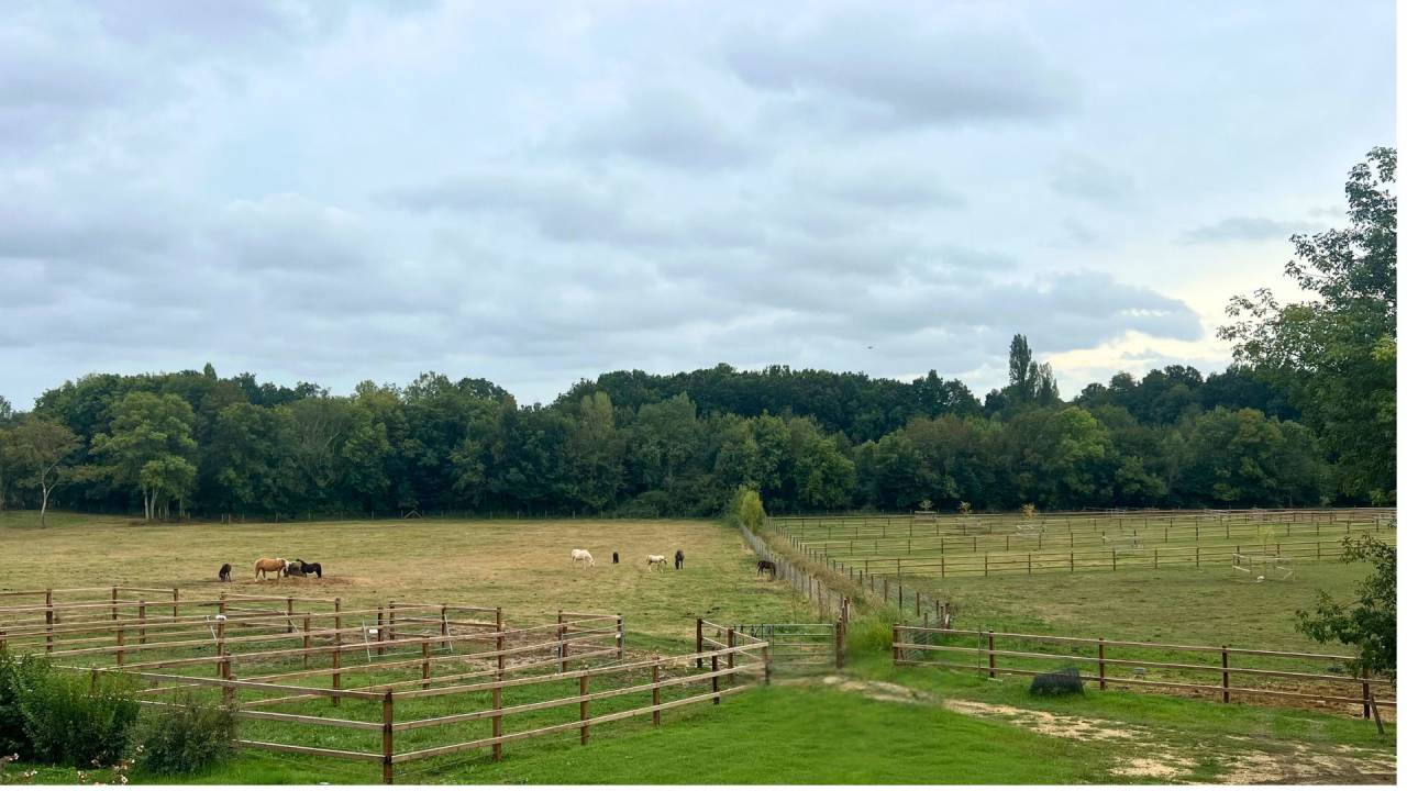 Propriété équestre d’exception de 23 hectares (47)