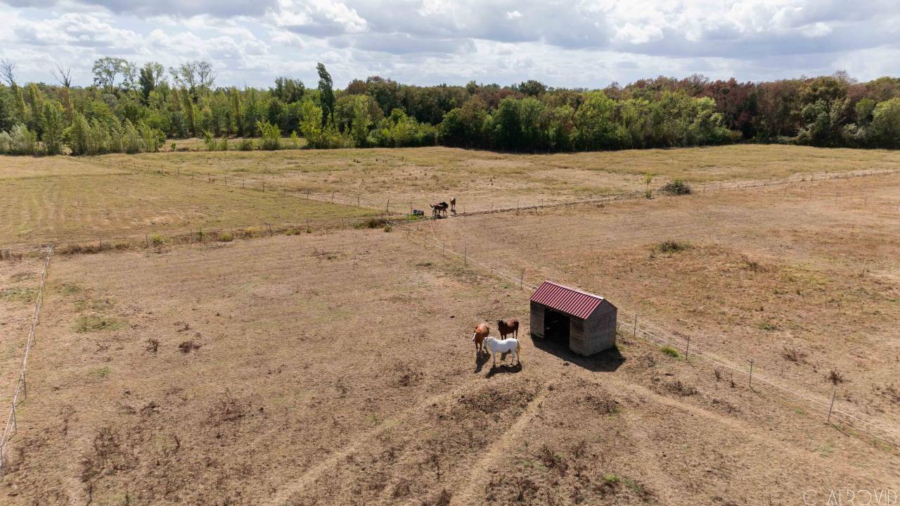 À 15 min de Libourne, sur 10 hect, propriété équestre