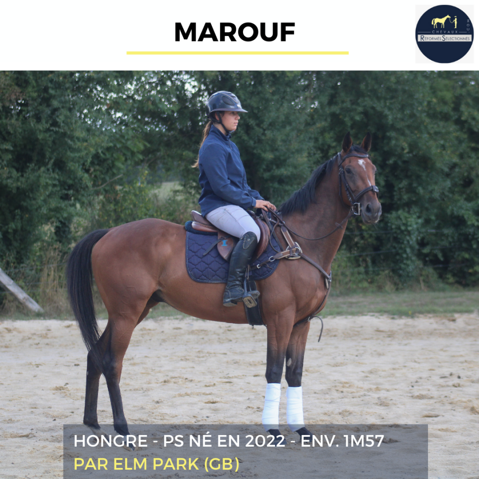 MAROUF - PS - 3 ANS 