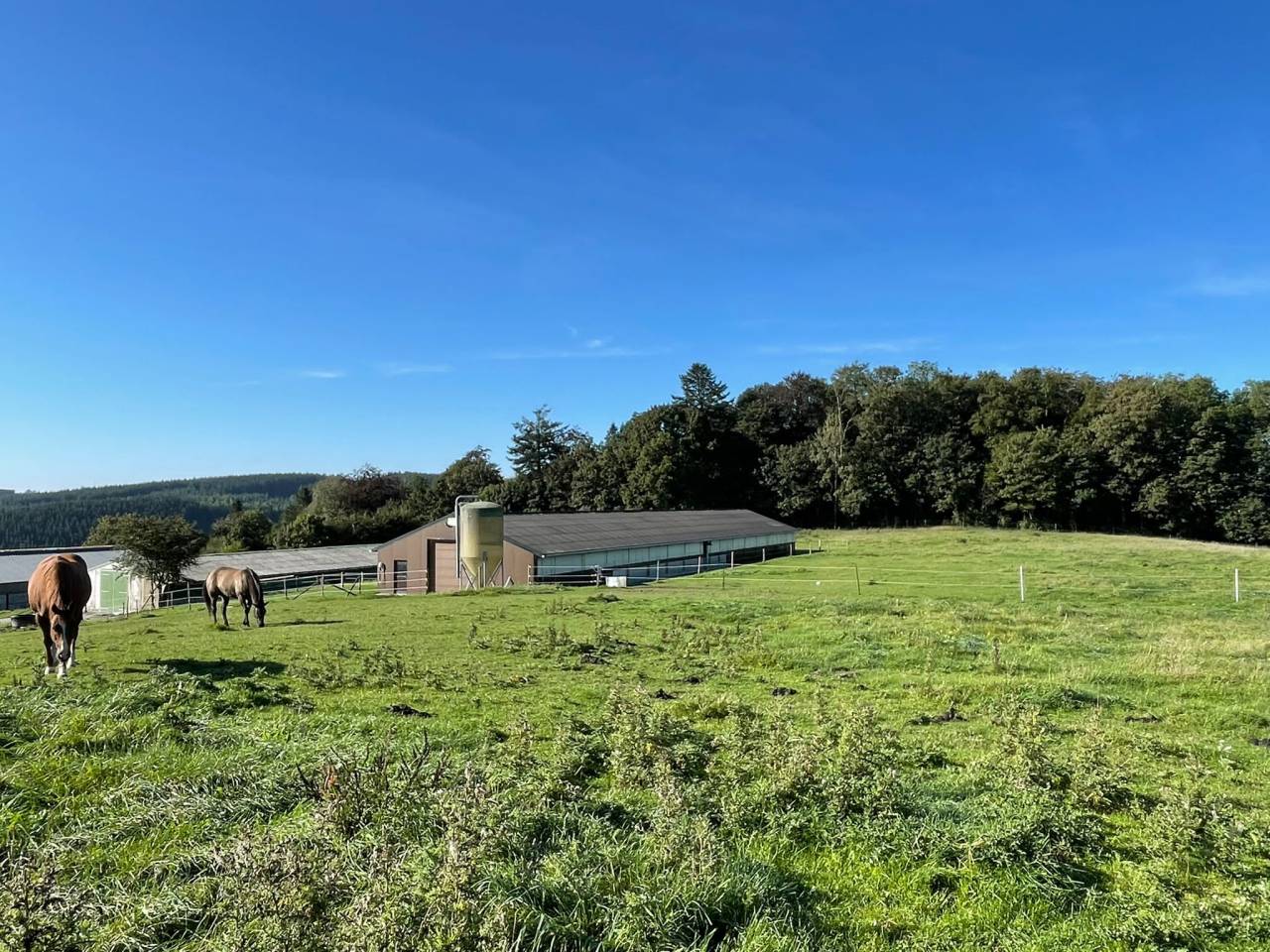 Pension prairie-stabulation-piste couverte Fauvillers