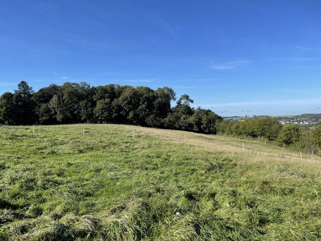 Pension prairie-stabulation-piste couverte Fauvillers