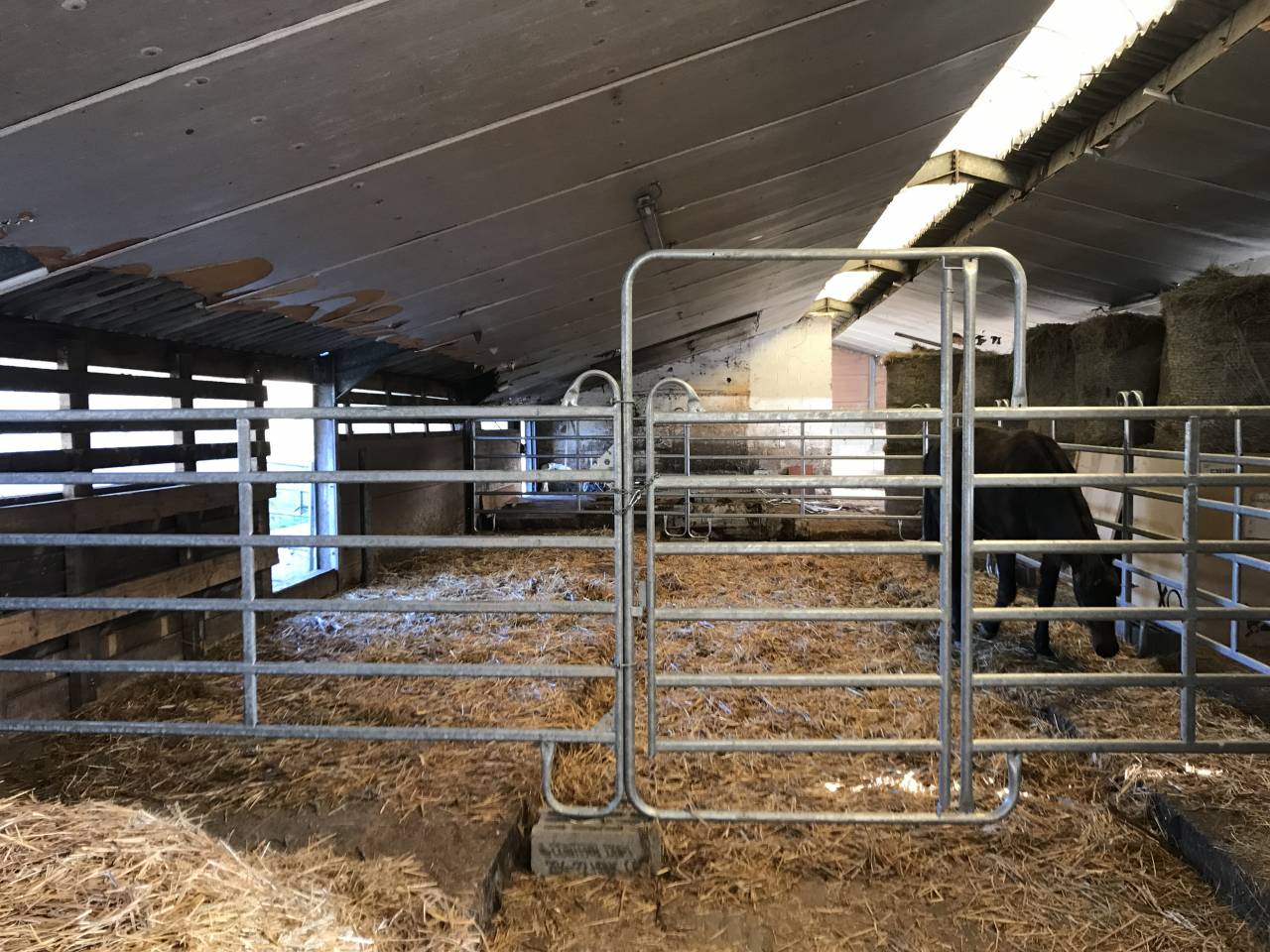 Pension prairie-stabulation-piste couverte Fauvillers