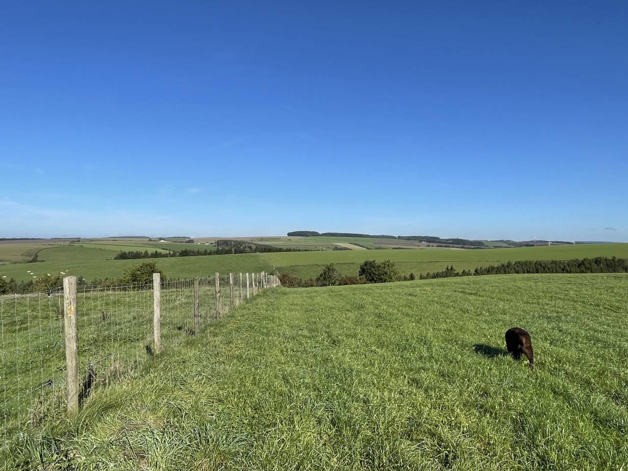 Pension prairie-stabulation-piste couverte Fauvillers