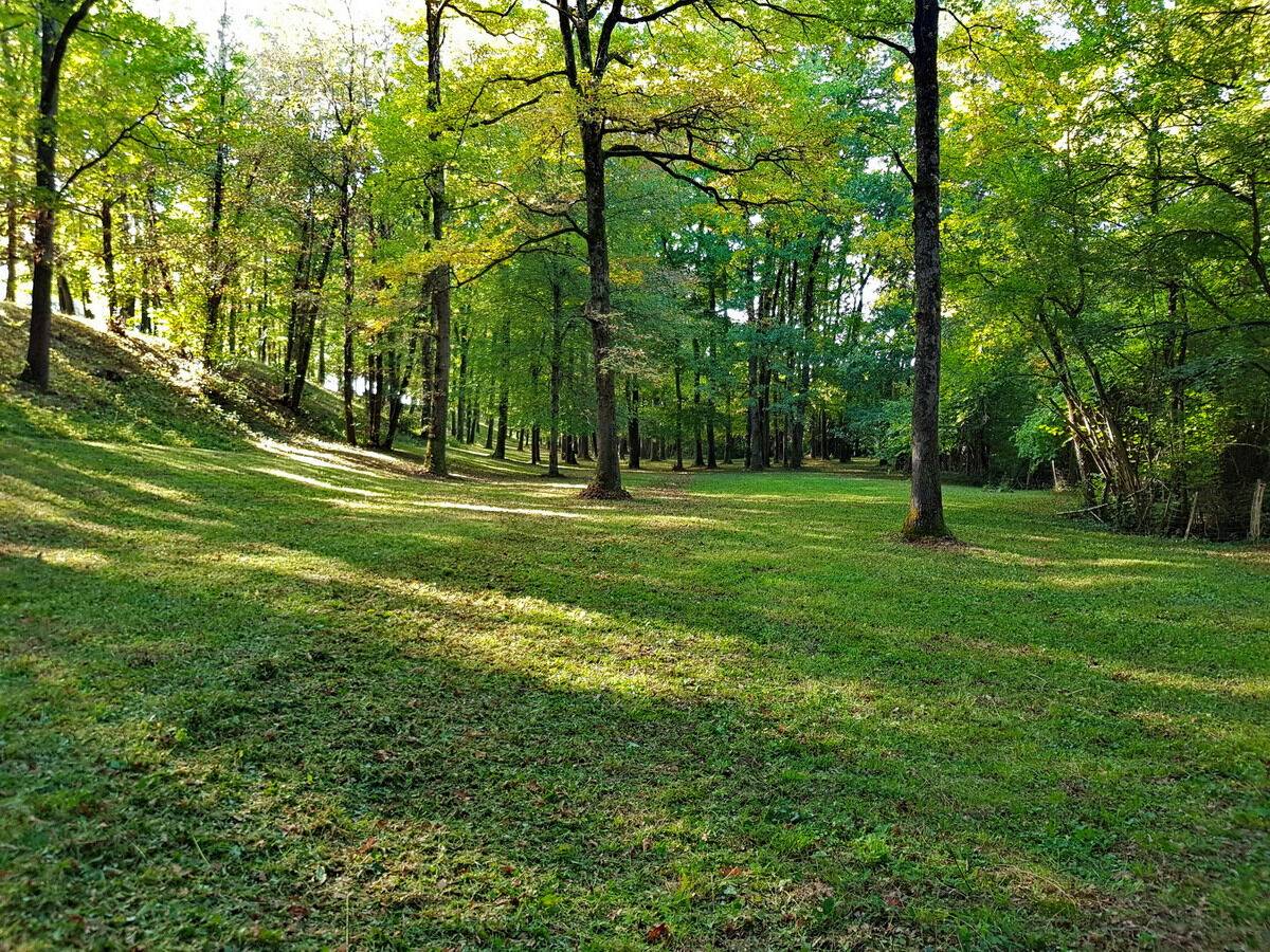 Demeure de Prestige aux portes de TOULOUSE (31)