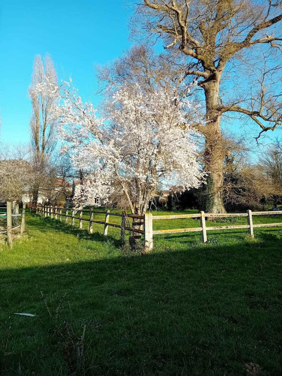 Propriété équestre