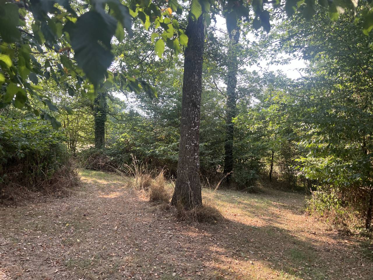 Proche Chateaumeillant