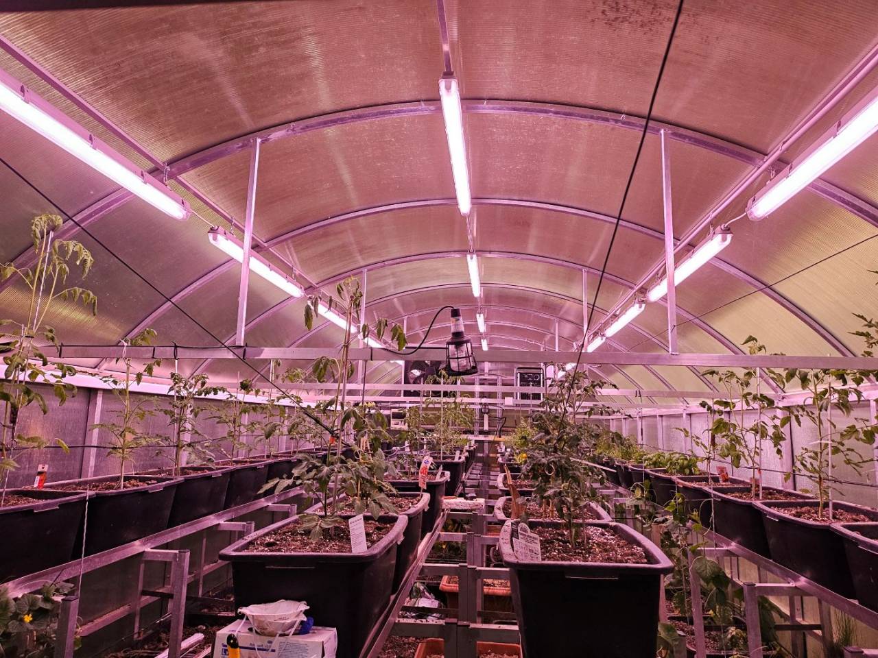 Propriété équestre A vendre 