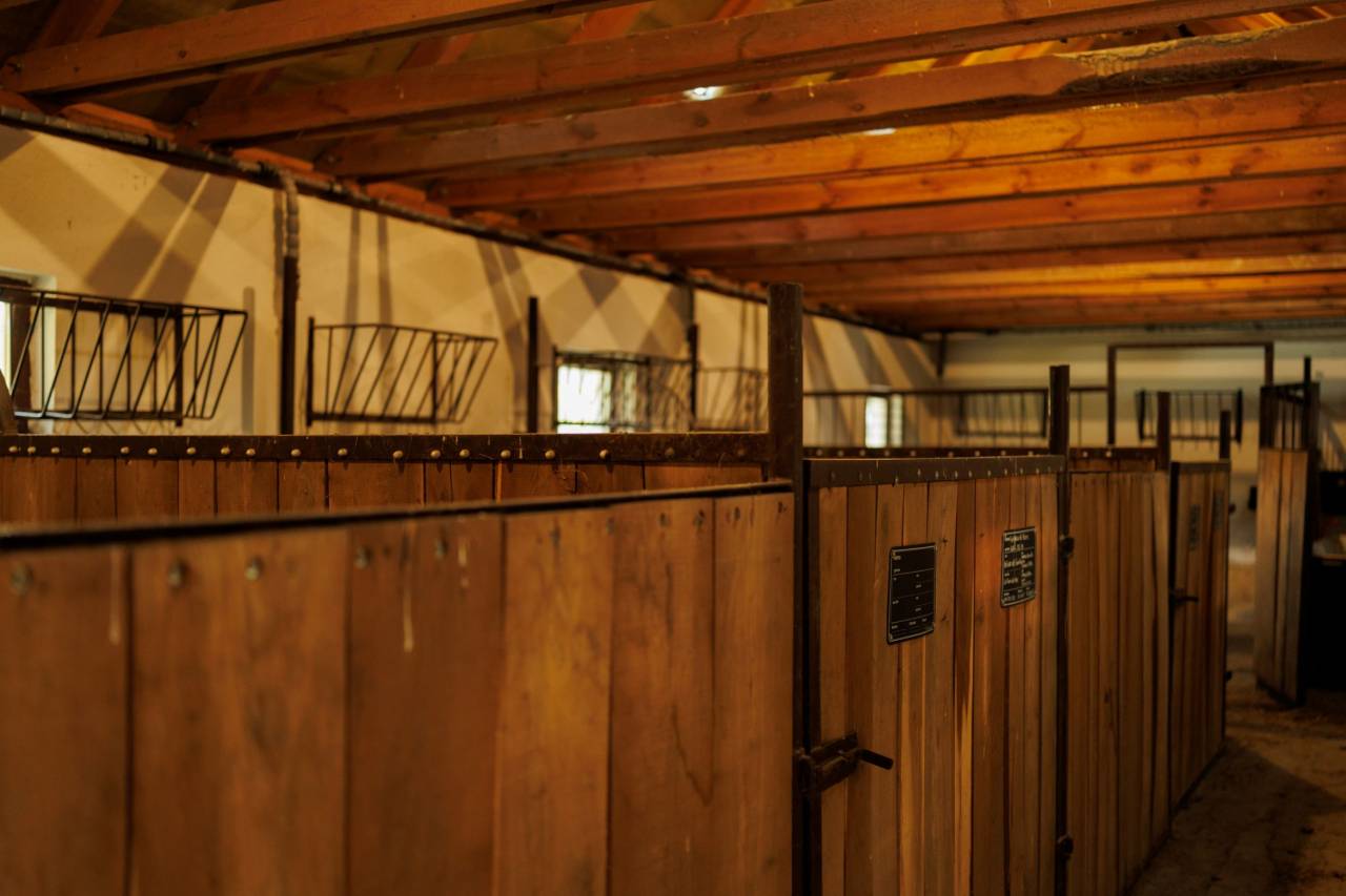 Propriété équestre A vendre 