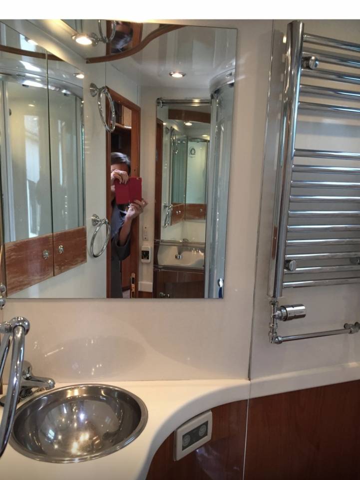 Camion VL Chevaux Oakley Scania 340 2006 Occasion