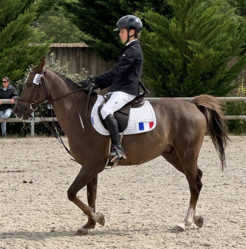 Gold - Poney d'Exception, Super resultats PElite/As2