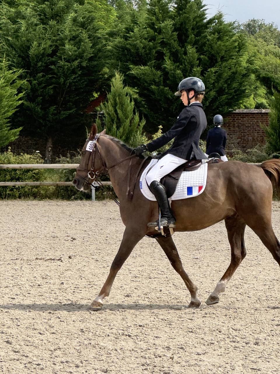 Gold - Poney d'Exception, Super resultats PElite/As2