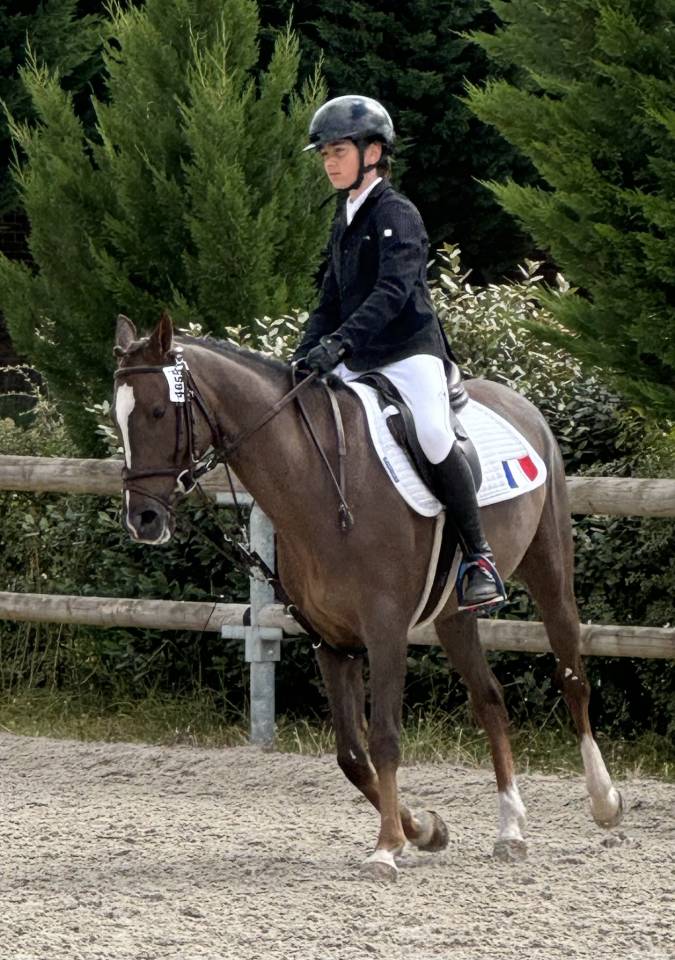 Gold - Poney d'Exception, Super resultats PElite/As2