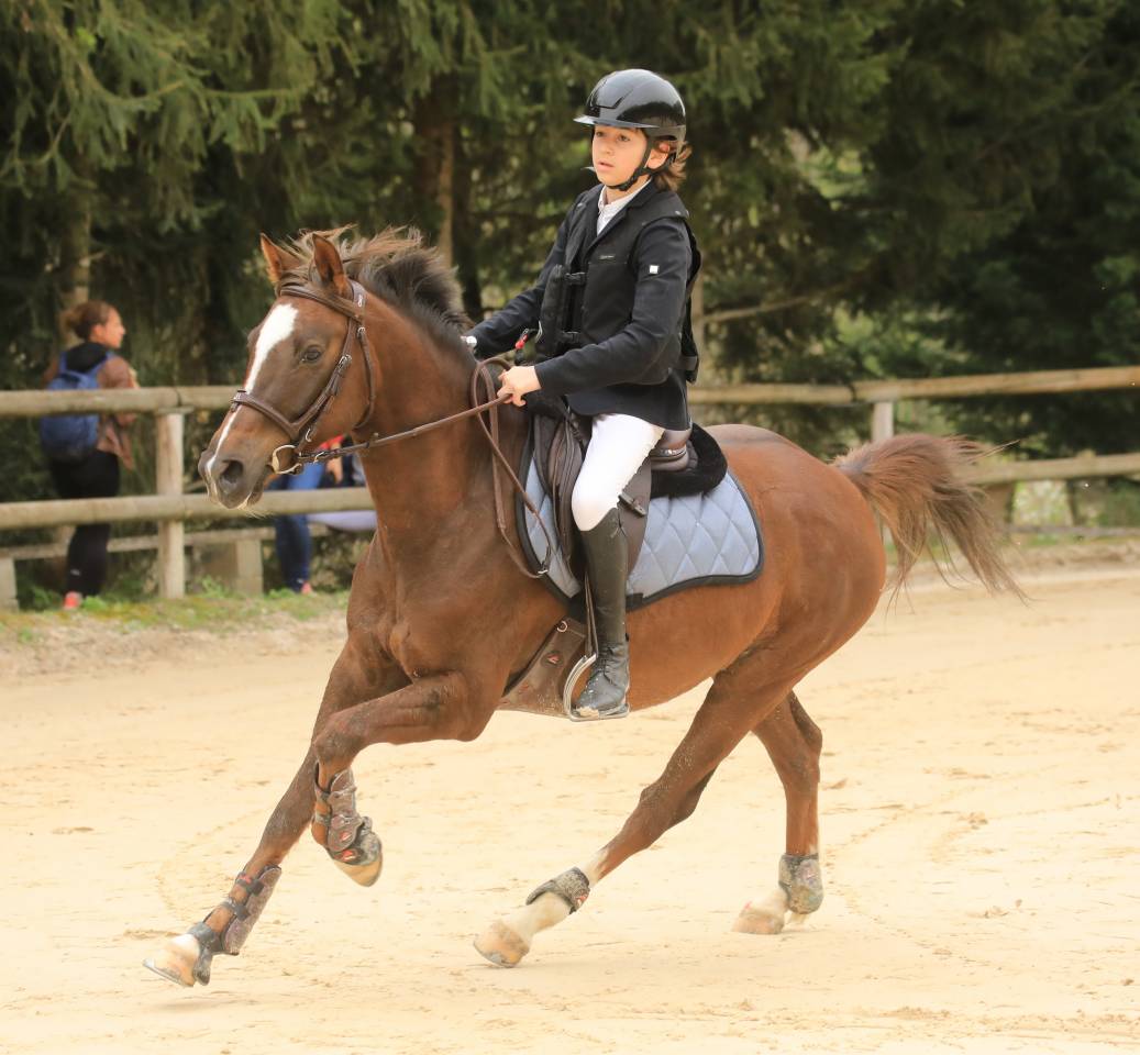 Gold - Poney d'Exception, Super resultats PElite/As2