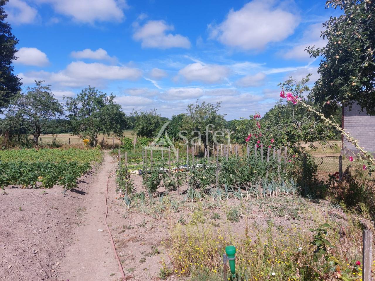 Corps de ferme en pierre sur 25ha avec étang