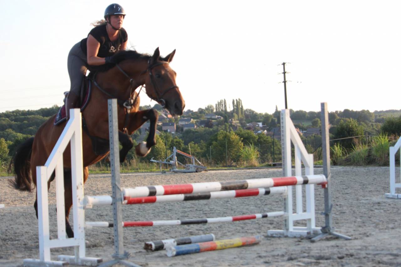 Opaline, très gentille jument de 5 ans 