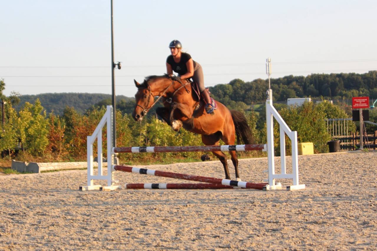 Opaline, très gentille jument de 5 ans 