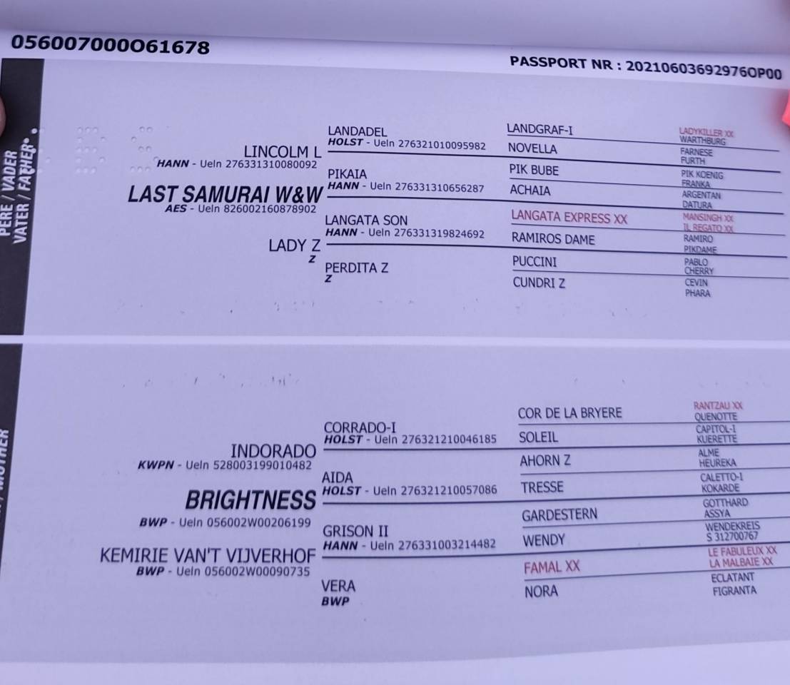 Opaline, très gentille jument de 5 ans 