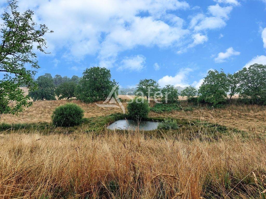 Propriété bâtie de 21ha10 dans un hameau