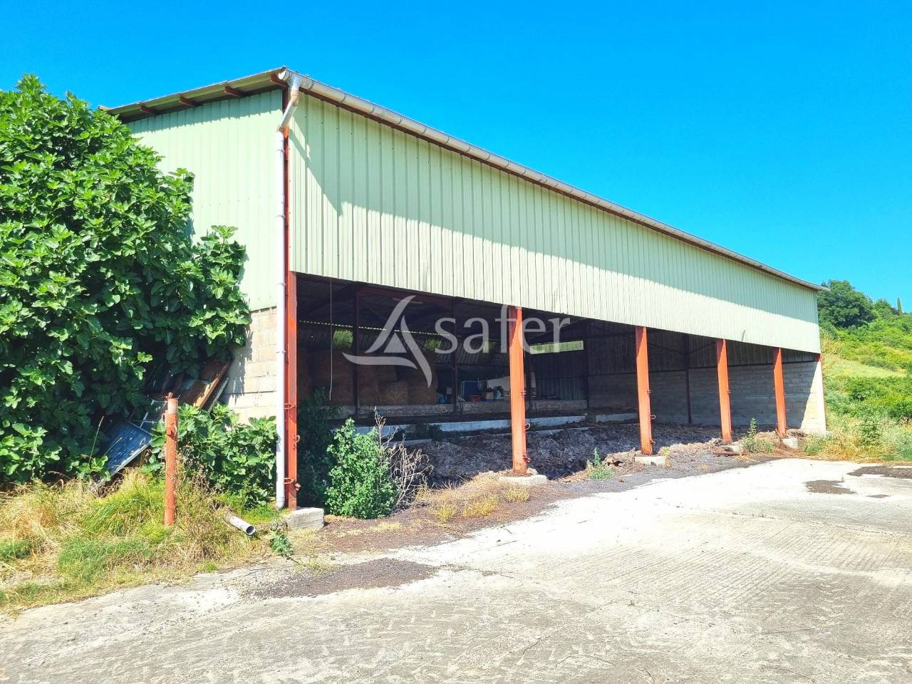 Exploitation Polyculture-Elevage avec maison à rénover et dép