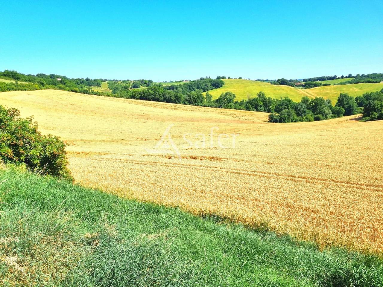 Exploitation Polyculture-Elevage avec maison &agrave; r&eacute;nover et d&eacute;p