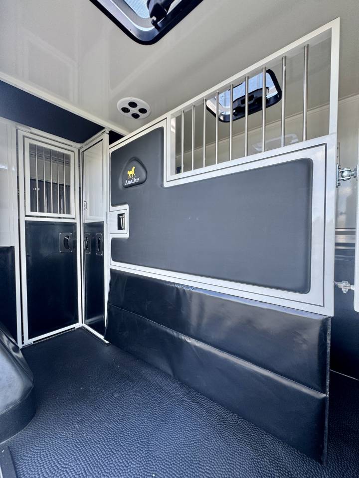 VL AMELINE 5 Places HARAS 