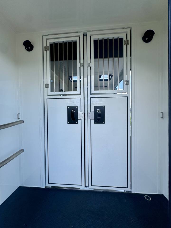 VL AMELINE 5 Places HARAS 