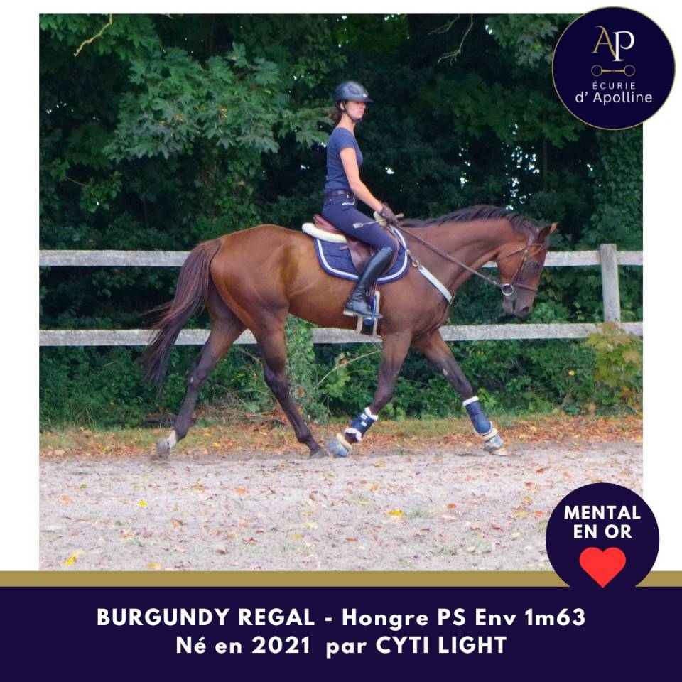 Jeune cheval mental en or