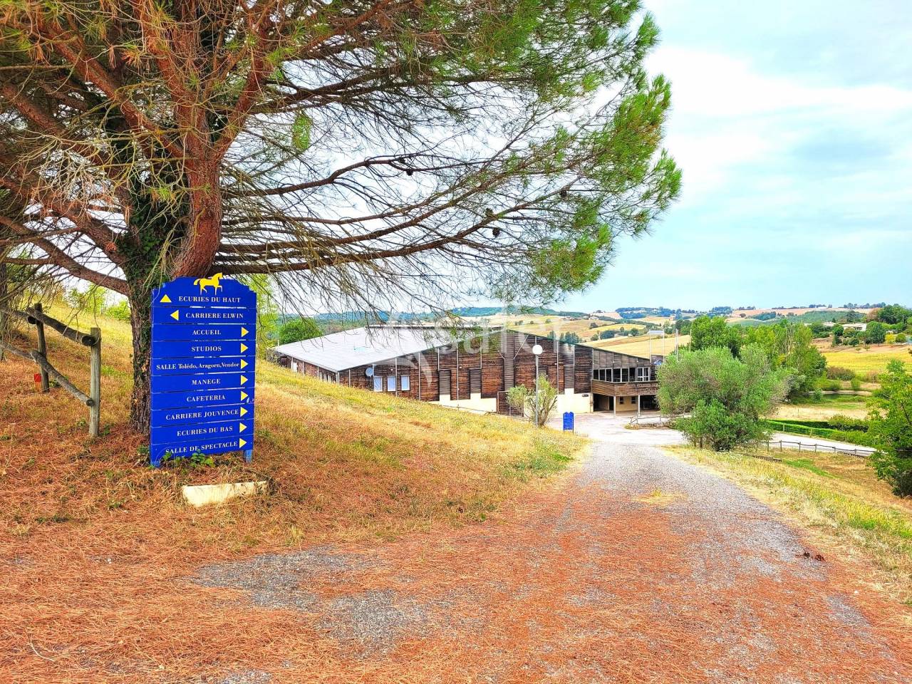 Entre Cahors et Montauban, grand et rare complexe équestre sur
